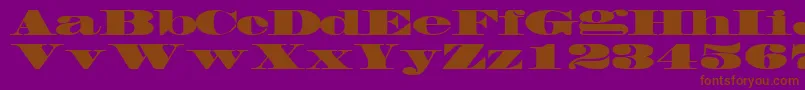 FacadesskRegular Font – Brown Fonts on Purple Background