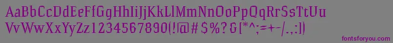 Hammrg Font – Purple Fonts on Gray Background