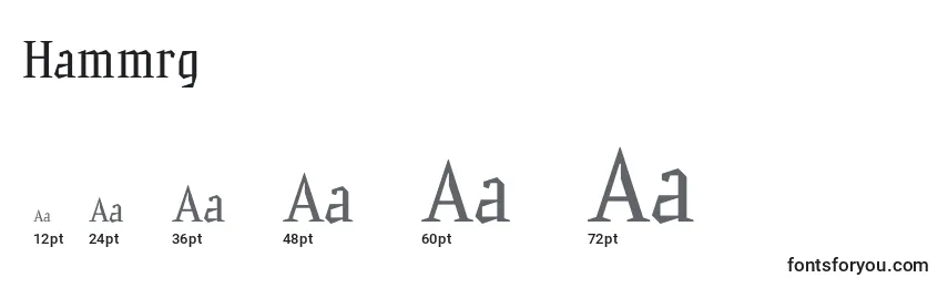 Hammrg Font Sizes