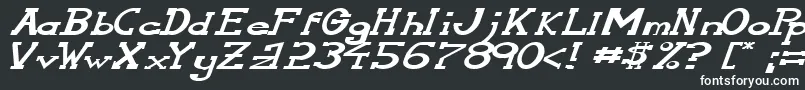 SerifonwideItalic Font – White Fonts