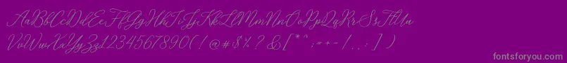 RosabeliaSldt Font – Gray Fonts on Purple Background