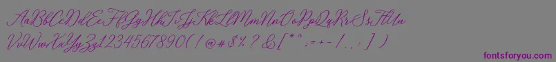 RosabeliaSldt Font – Purple Fonts on Gray Background