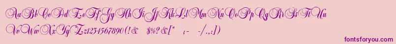 CopyistThin-Schriftart – Violette Schriften auf rosa Hintergrund