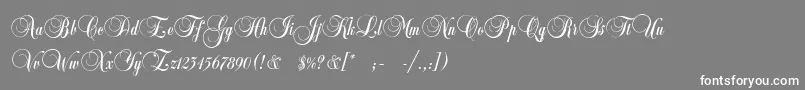 フォントCopyistThin – 灰色の背景に白い文字