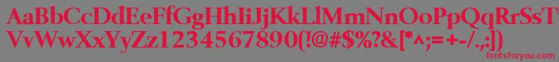 BelfastlhBold Font – Red Fonts on Gray Background