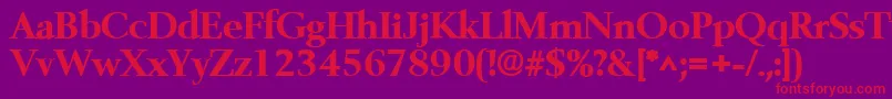 BelfastlhBold Font – Red Fonts on Purple Background