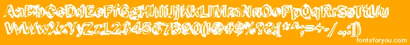 Funky43Bold Font – White Fonts on Orange Background