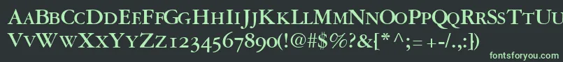 フォントGaramondrepriseosscapssskBold – 黒い背景に緑の文字
