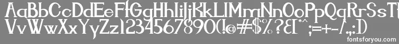 フォントEndora – 灰色の背景に白い文字