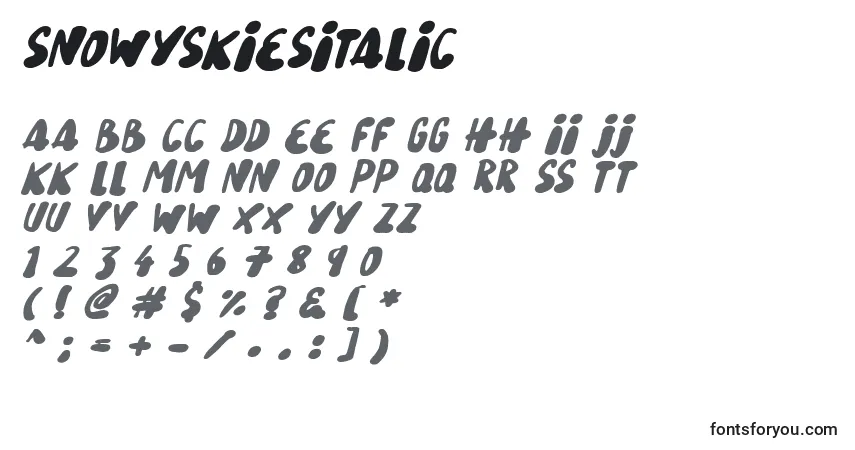 SnowySkiesItalic Font – alphabet, numbers, special characters