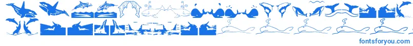 Orcas-Schriftart – Blaue Schriften