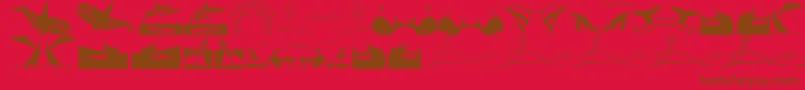 Orcas Font – Brown Fonts on Red Background