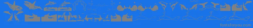 Orcas-Schriftart – Graue Schriften auf blauem Hintergrund