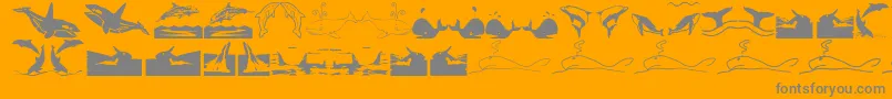 En savoir plus sur la police Orcas Police Orcas – polices grises sur fond orange