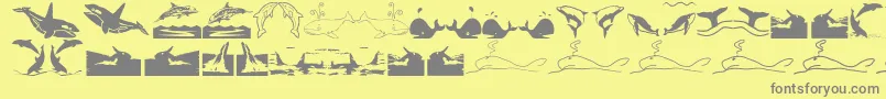 Orcas Font – Gray Fonts on Yellow Background