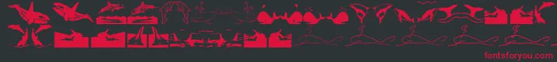 Orcas-Schriftart – Rote Schriften auf schwarzem Hintergrund