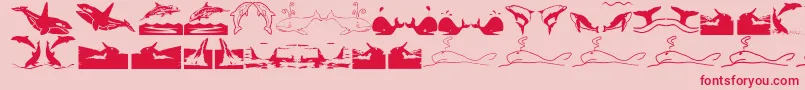 Orcas Font – Red Fonts on Pink Background