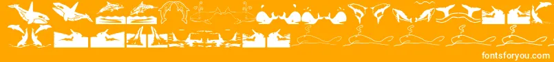 Шрифт Orcas – белые шрифты на оранжевом фоне