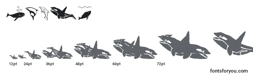Größen der Schriftart Orcas