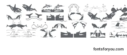 Überblick über die Schriftart Orcas