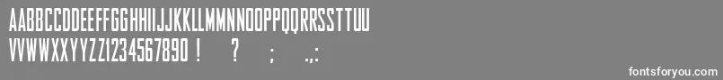 EntschuldigungFreeForPersonalUseOnly Font – White Fonts on Gray Background
