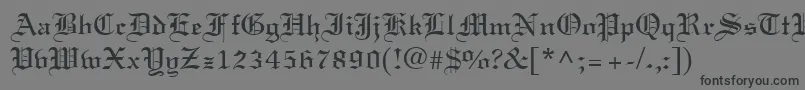 LisabelRegular Font – Black Fonts on Gray Background