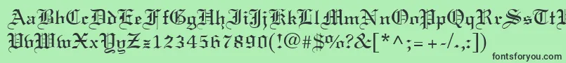 LisabelRegular Font – Black Fonts on Green Background