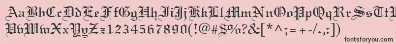 LisabelRegular Font – Black Fonts on Pink Background