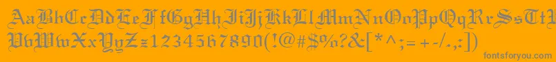 LisabelRegular Font – Gray Fonts on Orange Background