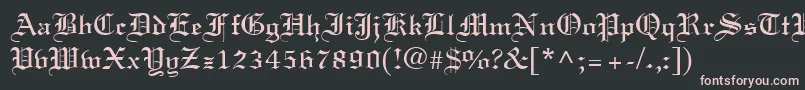 LisabelRegular Font – Pink Fonts on Black Background