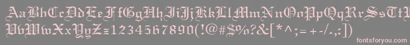 LisabelRegular Font – Pink Fonts on Gray Background
