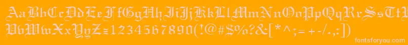 LisabelRegular Font – Pink Fonts on Orange Background