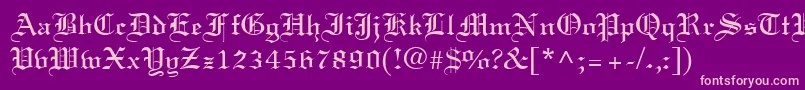 LisabelRegular Font – Pink Fonts on Purple Background