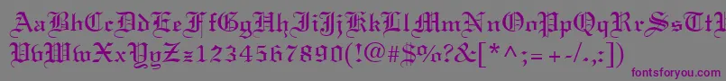 LisabelRegular Font – Purple Fonts on Gray Background