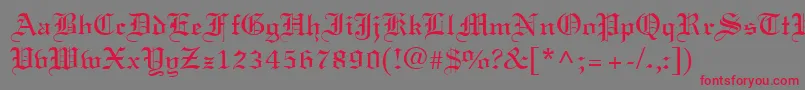 フォントLisabelRegular – 赤い文字の灰色の背景