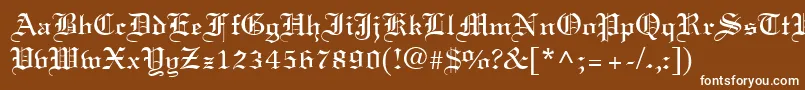 LisabelRegular Font – White Fonts on Brown Background