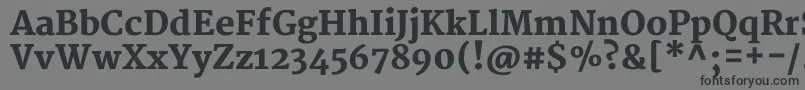 MerriweatherBlack-Schriftart – Schwarze Schriften auf grauem Hintergrund