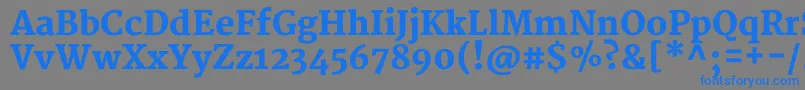 フォントMerriweatherBlack – 灰色の背景に青い文字