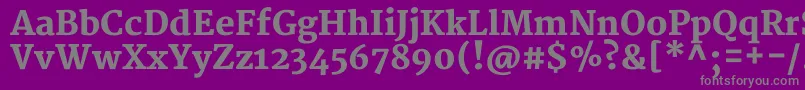 MerriweatherBlack-fontti – harmaat kirjasimet violetilla taustalla