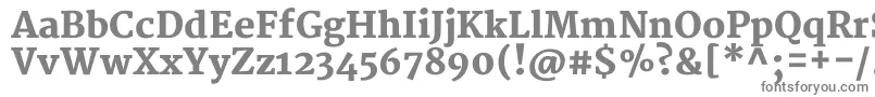 MerriweatherBlack-Schriftart – Graue Schriften auf weißem Hintergrund