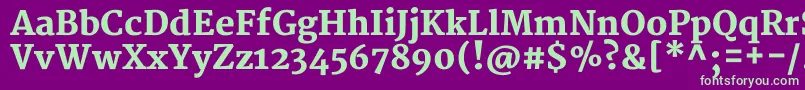 フォントMerriweatherBlack – 紫の背景に緑のフォント