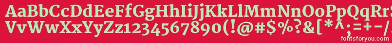 フォントMerriweatherBlack – 赤い背景に緑の文字