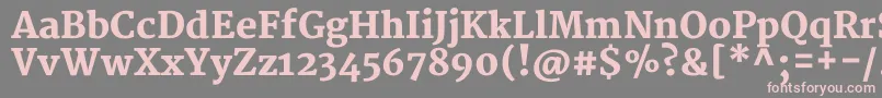 Шрифт MerriweatherBlack – розовые шрифты на сером фоне