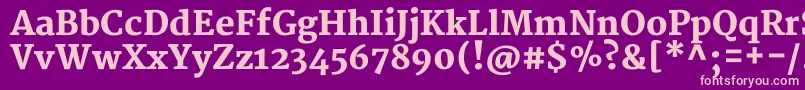 MerriweatherBlack-fontti – vaaleanpunaiset fontit violetilla taustalla