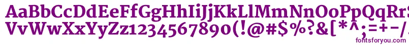 Шрифт MerriweatherBlack – фиолетовые шрифты на белом фоне