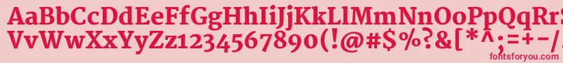 MerriweatherBlack-Schriftart – Rote Schriften auf rosa Hintergrund