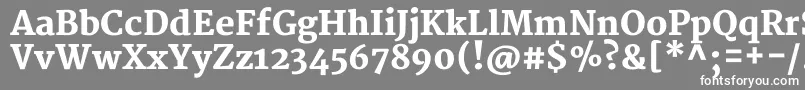 MerriweatherBlack-Schriftart – Weiße Schriften auf grauem Hintergrund