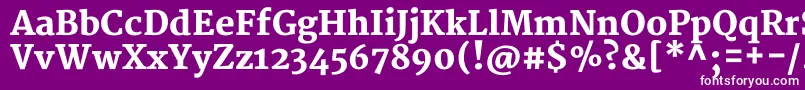 MerriweatherBlack-Schriftart – Weiße Schriften auf violettem Hintergrund