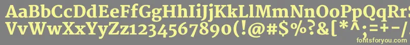 MerriweatherBlack-fontti – keltaiset fontit harmaalla taustalla