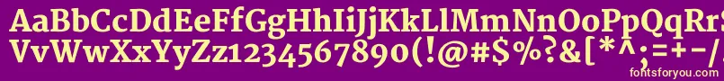 フォントMerriweatherBlack – 紫の背景に黄色のフォント